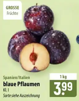 Famila Nord Ost blaue Pflaumen Angebot