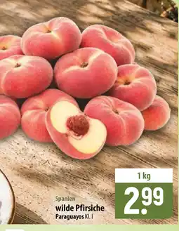Famila Nord Ost Spanien wilde Pfirsiche Angebot