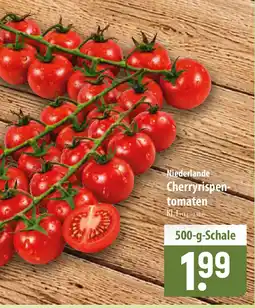 Famila Nord Ost Niederlande Cherryrispen-tomaten Angebot