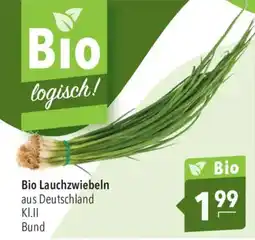 CITTI Markt Bio Lauchzwiebeln Angebot