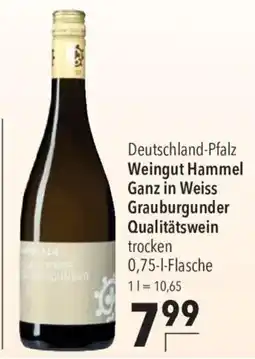 CITTI Markt Weingut Hammel Ganz in Weiss Grauburgunder Angebot