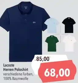 CITTI Markt Lacoste Herren Poloshirt Angebot