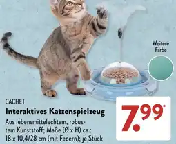 Aldi Süd CACHET Interaktives Katzenspielzeug Angebot