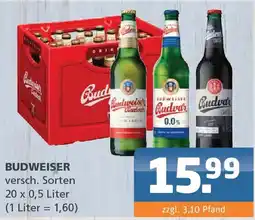 Getränke Lehmann BUDWEISER Angebot