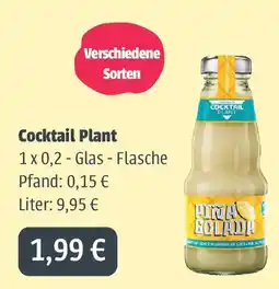 Getränkeland Mayer Cocktail Plant Angebot