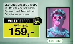 Möbel Inhofer LED-Bild „Cheeky David“ Angebot