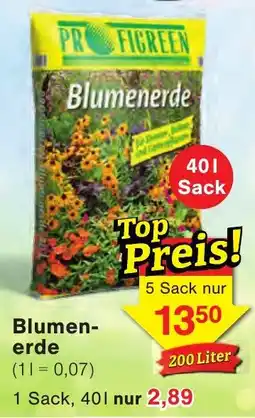 Wiglo Wunderland PROFIGREEN Blumenerde Angebot
