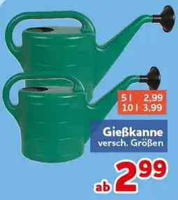 CENTERSHOP Gießkanne Angebot