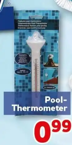 CENTERSHOP Pool-Thermometer Angebot