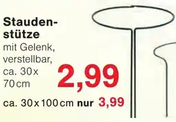 Wiglo Wunderland Staudenstütze Angebot