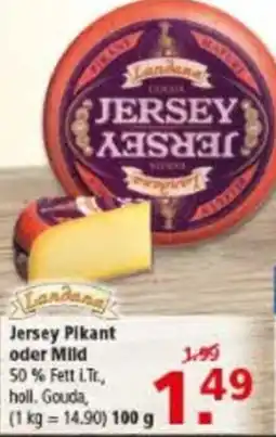 Multi Markt Landana Jersey Pikant oder Mild Angebot