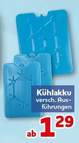 CENTERSHOP Kühlakku Angebot