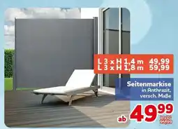 CENTERSHOP Seitenmarkise in Anthrazit Angebot