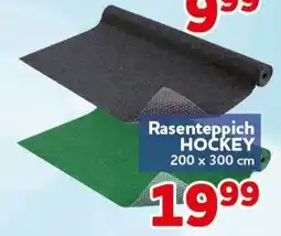 CENTERSHOP Rasenteppich HOCKEY Angebot