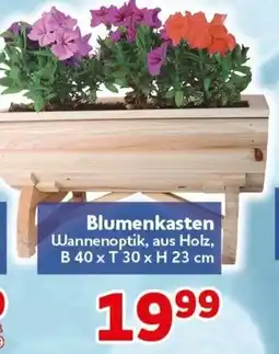 CENTERSHOP Blumenkasten Angebot