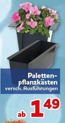CENTERSHOP Paletten-pflanzkästen Angebot
