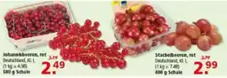 Multi Markt Johannisbeeren, rot Angebot