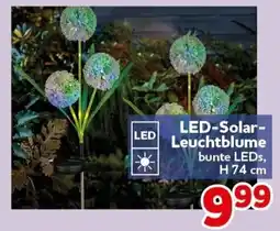 CENTERSHOP LED-Solar-Leuchtblume Angebot