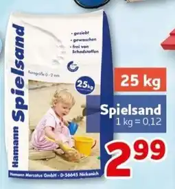 CENTERSHOP Hamann Spielsand Angebot