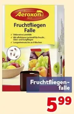 CENTERSHOP Aeroxon Fruchtfliegen-Falle Angebot
