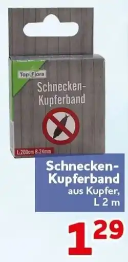 CENTERSHOP Top.Flora Schnecken-Kupferband Angebot