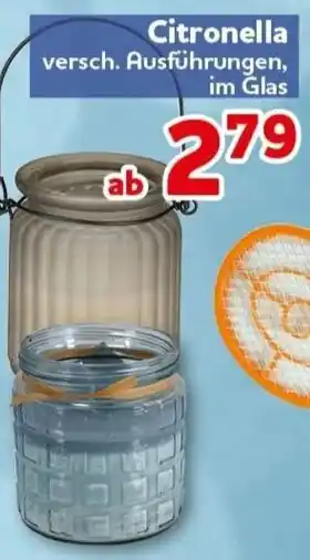 CENTERSHOP Citronella Angebot