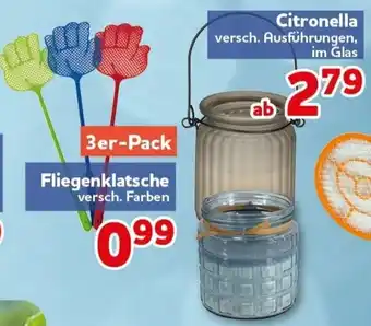 CENTERSHOP Fliegenklatsche Angebot