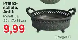 Wiglo Wunderland Pflanzschale, Antik Angebot