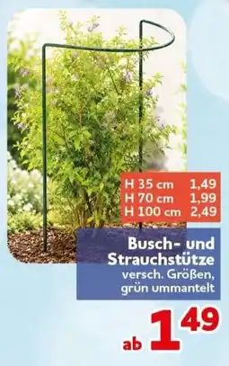 CENTERSHOP Busch- und Strauchstütze Angebot