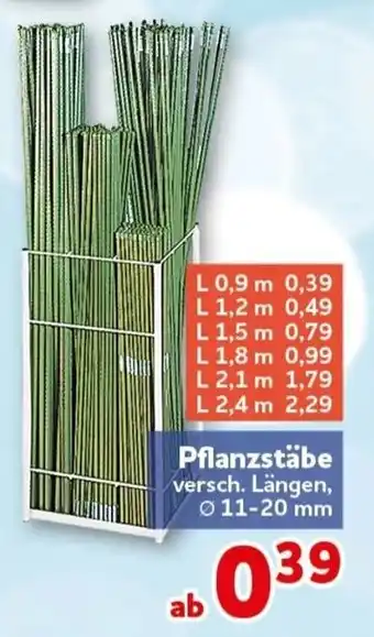 CENTERSHOP Pflanzstäbe Angebot