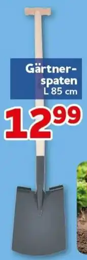 CENTERSHOP Gärtner-spaten Angebot
