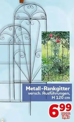 CENTERSHOP Metall-Rankgitter Angebot
