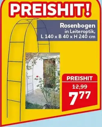 CENTERSHOP Rosenbogen in Leiteroptik Angebot