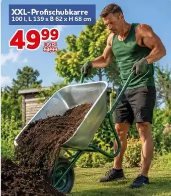 CENTERSHOP XXL-Profischubkarre Angebot