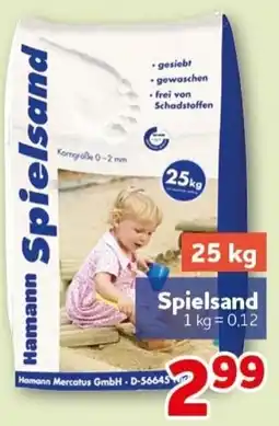 CENTERSHOP Hamann Spielsand Angebot