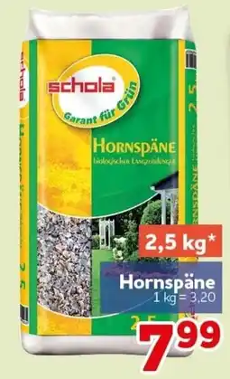 CENTERSHOP Schola Hornspäne Angebot