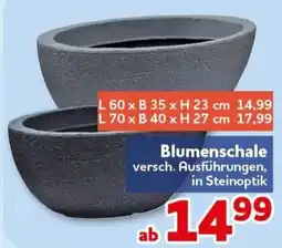 CENTERSHOP Blumenschale in Steinoptik Angebot