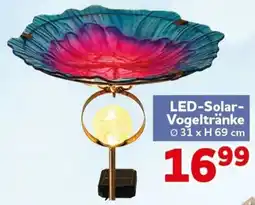 CENTERSHOP LED-Solar-Vogeltränke Angebot