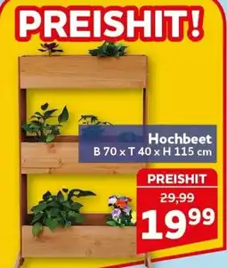 CENTERSHOP Hochbeet Angebot