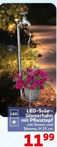 CENTERSHOP LED-Solar-Wasserhahn mit Pflanztopf Angebot