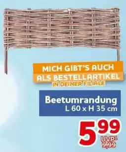 CENTERSHOP Beetumrandung Angebot