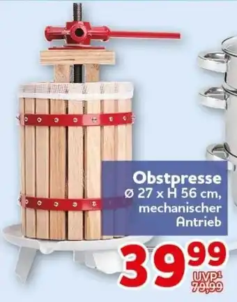 CENTERSHOP Obstpresse Angebot