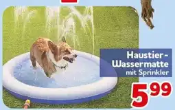 CENTERSHOP Haustier-Wassermatte mit Sprinkler Angebot