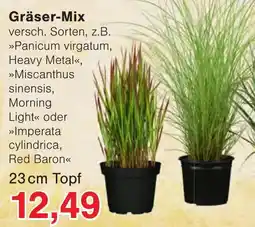Wiglo Wunderland Gräser-Mix Angebot