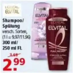 Multi Markt L'Oréal Elvital Shampoo/Spülung Angebot