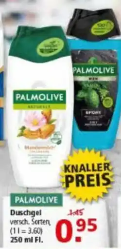 Multi Markt Palmolive Duschgel Angebot