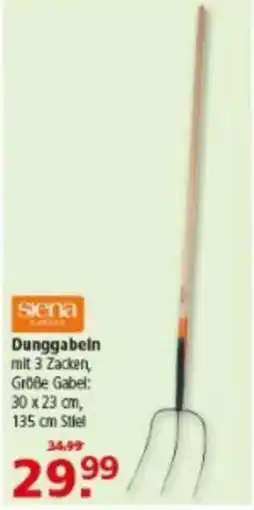 Multi Markt Dunggabeln Siena Angebot