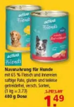 Multi Markt activa Friends Nassnahrung für Hunde Angebot