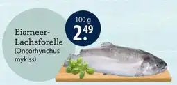 V Markt Eismeer- Lachsforelle (Oncorhynchus mykiss) Angebot