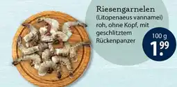 V Markt Riesengarnelen (Litopenaeus vannamei) Angebot